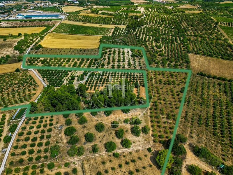 Foto e0a1c1a0-ff47-4c9a-bb32-7fb15613dcc3. Finca rústica a Garidells (Els)