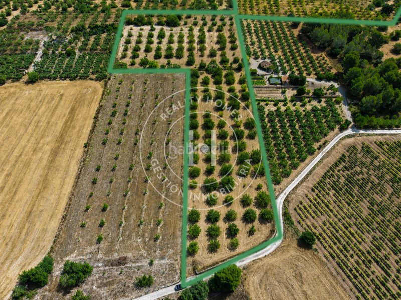 Foto ea6099b1-fa72-41de-9ca4-4bd1cb145d18. Finca rústica a Garidells (Els)