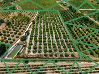 Fondo rustico  N/a. Conjunto de fincas rústicas en venta con agua propia – 49.107 m²