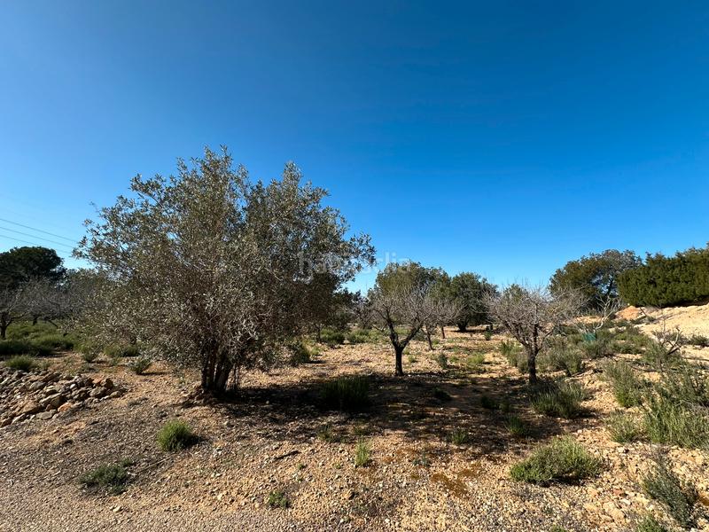 Foto c6b1f61c-4ac2-4987-926e-3716d907cf23. Xalet amb xemeneia aparcament piscina a Monserrat