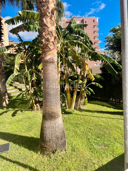 Foto 3f04ab70-f57d-48da-9e97-444a918e73be. Appartement avec chauffage parking piscine dans Mirador de la Cala-Benimar Vila Joiosa (la)