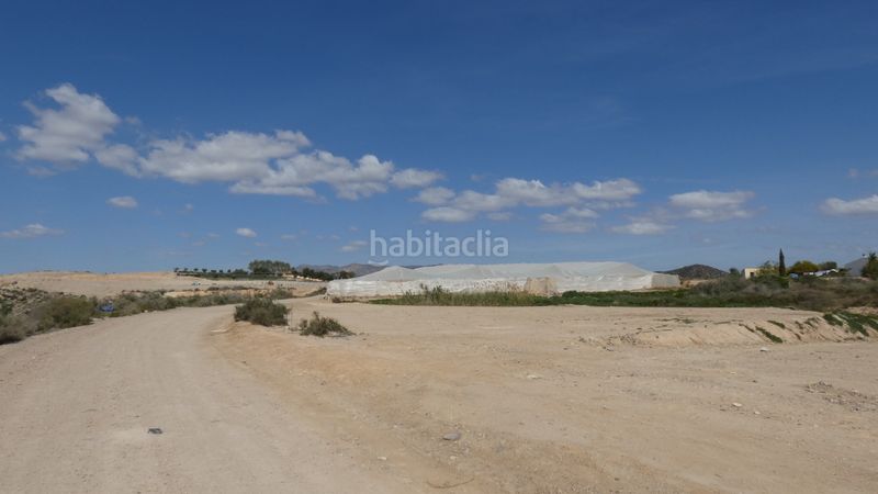 Foto 86d90464-5490-46f7-a766-0e1ba1944653. Fondo rustico in camino venta hormiga 2 in Burjulu - La Mulería Cuevas del Almanzora