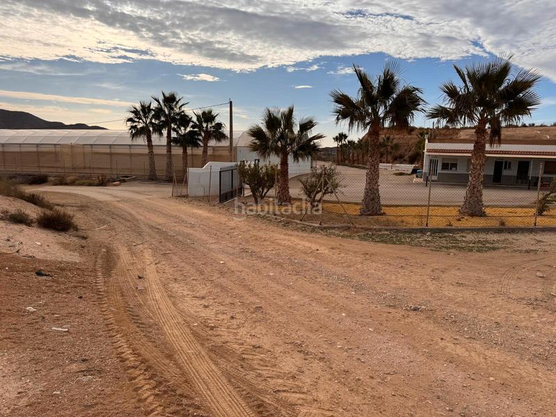 Foto eafed543-0fad-4e08-9c4e-41484dff0331. Landgut in camino venta hormiga 2 in Burjulu - La Mulería Cuevas del Almanzora