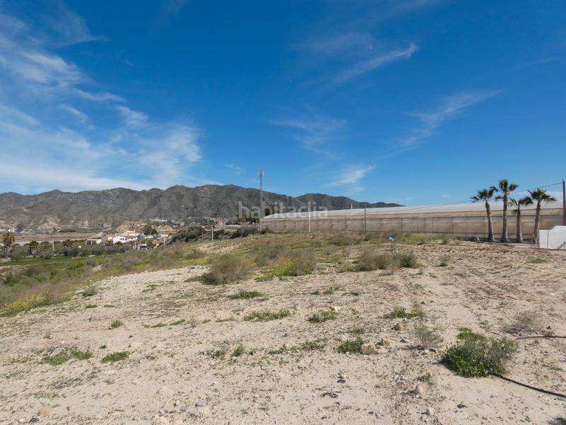 Foto 18fdaf5c-5d7c-4594-8efa-7fe8d037fcdf. Rural plot in camino venta hormiga 2 in Burjulu - La Mulería Cuevas del Almanzora