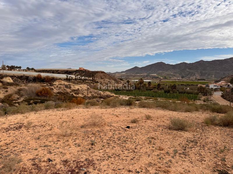 Foto 68a7932a-a8fc-477d-9707-8e1d795fb0c2. Rural plot in camino venta hormiga 2 in Burjulu - La Mulería Cuevas del Almanzora
