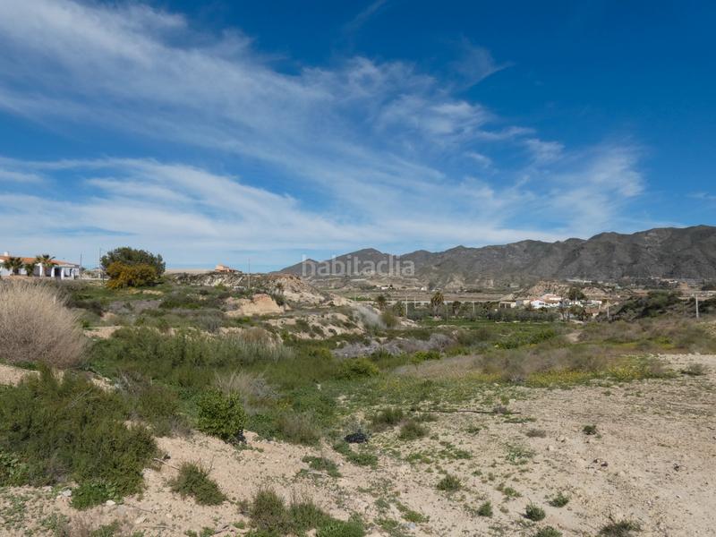 Foto 7b3c9915-9034-4963-8e7b-6910aad8850b. Rural plot in camino venta hormiga 2 in Burjulu - La Mulería Cuevas del Almanzora