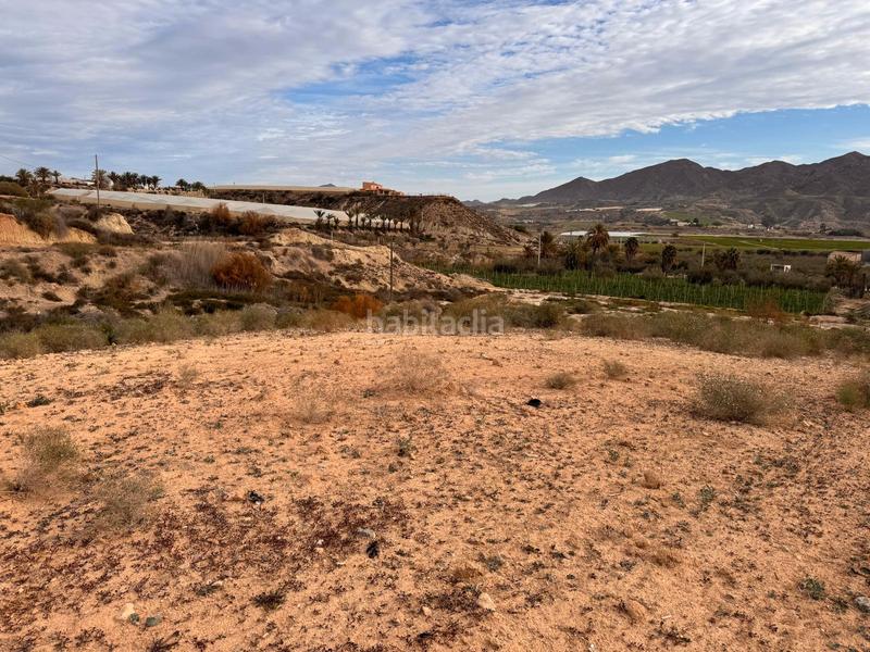 Foto 86cc9559-7659-4737-972d-8e7ee85ae6fc. Rural plot in camino venta hormiga 2 in Burjulu - La Mulería Cuevas del Almanzora