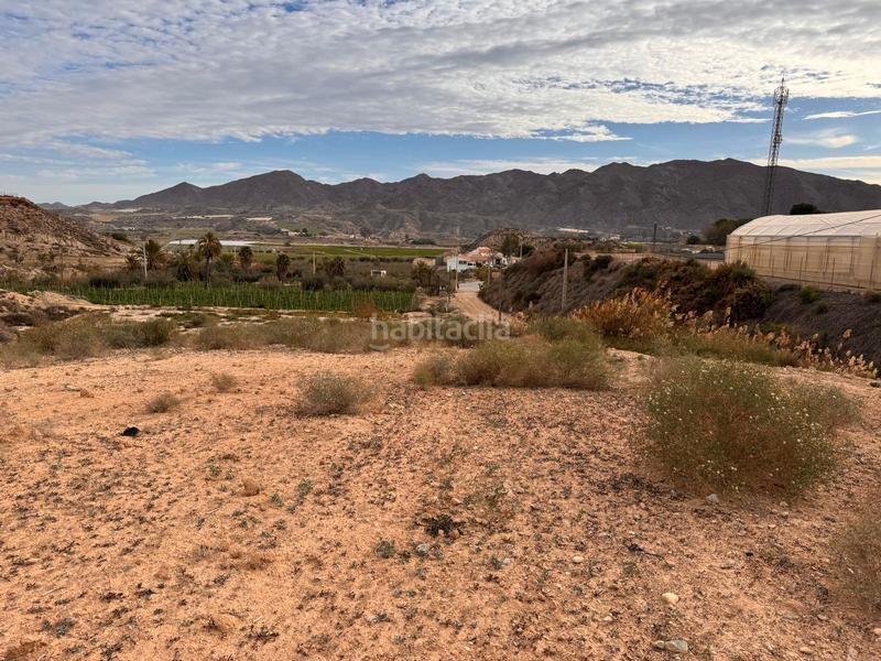Foto 943cbb2d-e363-414c-99ce-70afec3c2347. Rural plot in camino venta hormiga 2 in Burjulu - La Mulería Cuevas del Almanzora