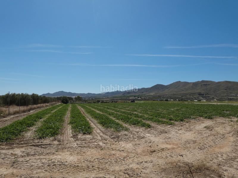 Foto 3266202c-56a6-4ee1-af12-7f78381c38d0. Country house in paraje el alcauzon 8 in Huércal - Overa