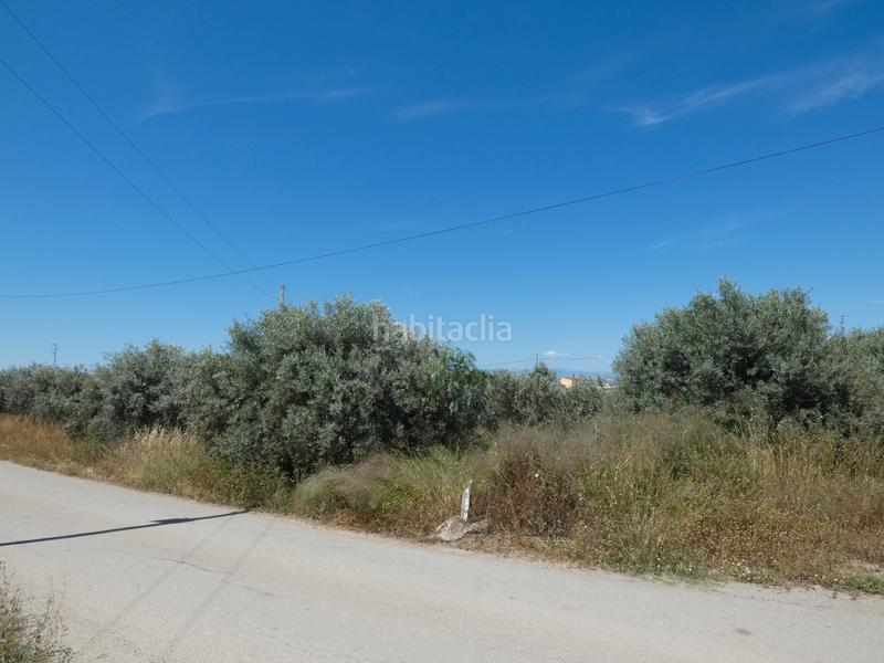 Foto da2ec3e4-1f9c-437b-9ed4-511147675e96. Masía en paraje el alcauzon 8 en Huércal - Overa