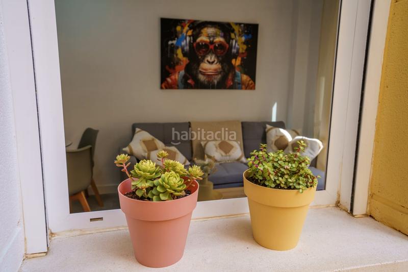 Foto 4a10468c-8da4-499a-aa11-0f16c2a12527. Apartament a avenida juan sebastián elcano 3 a Las Marinas - Pueblo Laguna Vera