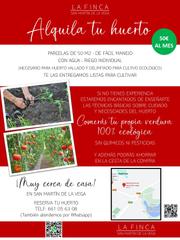 Finca rústica en San Martín de la Vega. Alquila tu huerto