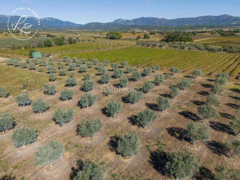 Foto c819e6d7-260d-409d-8e1d-6dcc8c464733. Masia amb calefacció aparcament piscina a Mollet de Peralada