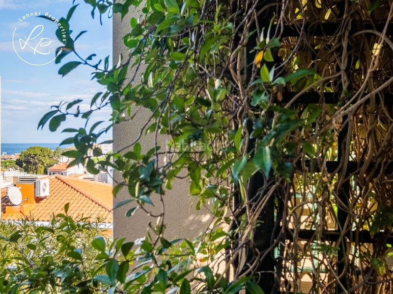 Foto ec032733-a638-425d-800a-2b7f749f97a6. Casa amb calefacció aparcament a Carboneres - La Farella Llançà