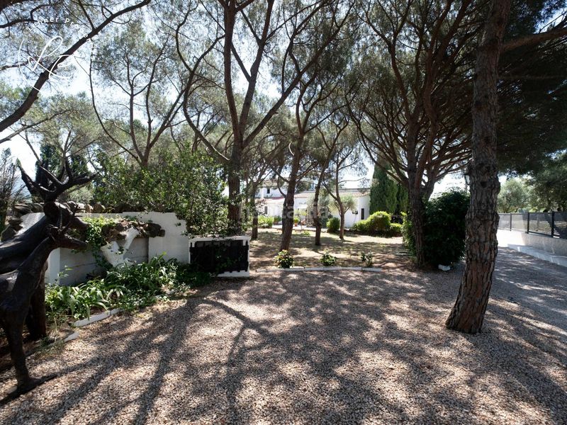 Foto c7ec8c07-4fa9-4e31-8ab1-76840b0720cb. Casa a carretera pedret 2 a Pedret i Marzà