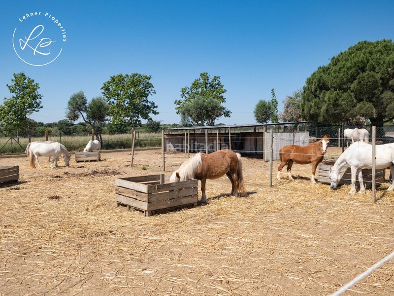 Foto e99cf7ef-3b03-43fa-a1fe-c3e3aaa87a31. Casa a carretera pedret 2 a Pedret i Marzà