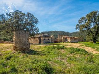 Masia a 7 80. Masia del siglo xix para rehabilitar en darnius.