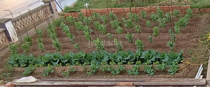 Foto 04a08bf8-43b1-4097-9bbf-2921731908f3. Chalet  independiente residencial en Cunit residencial Cunit