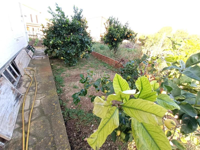 Foto 3f14e4de-dbb3-482d-bf74-0e979f764deb. Chalet  independiente residencial en Cunit residencial Cunit