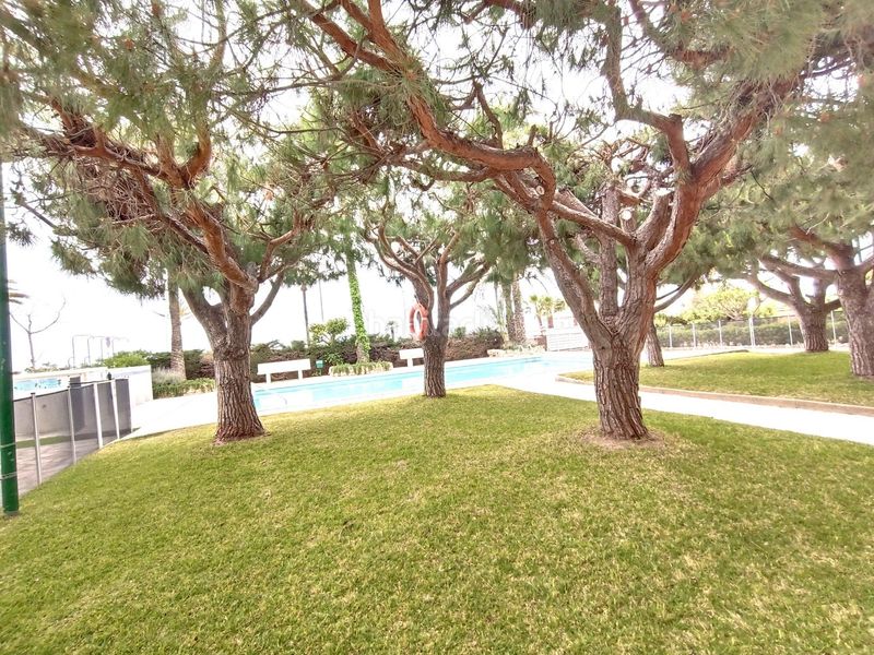 Foto 8c4086e0-842f-4609-9eb7-07e101a9b43a. Appartamento con riscaldamento piscina in Can Toni Cunit