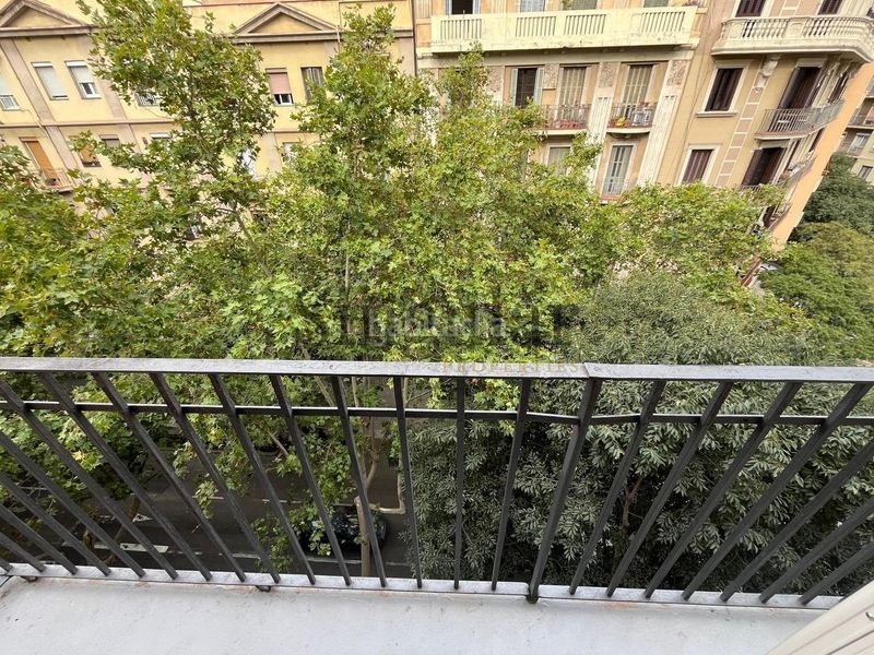 Foto c2563588-1812-4974-a07a-7b1acf4bfbca. Pis a Sagrada Família Barcelona