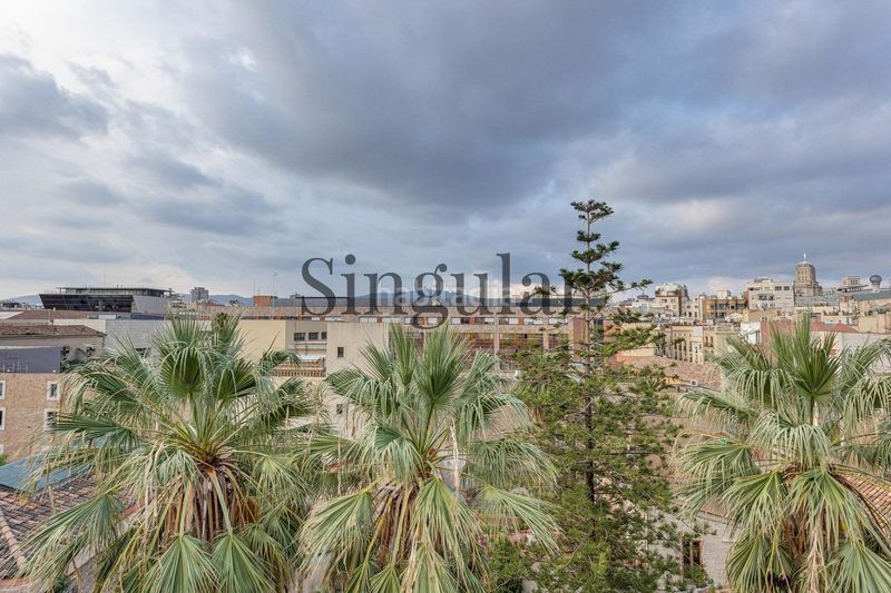 Foto a1b82689-5cc8-4e3e-9711-57fe01ed9f75. Pis a Raval Barcelona