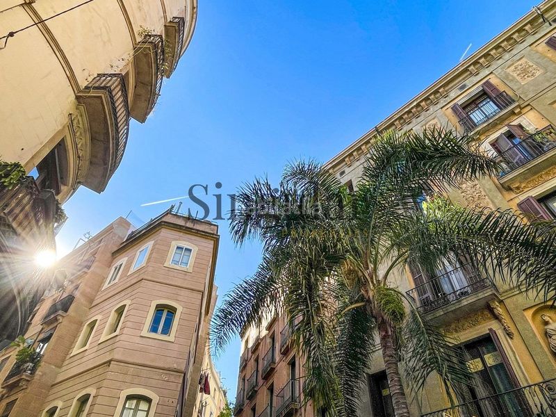 Foto 7e2d9288-660f-452f-9c12-e107ffa15402. Àtic a Raval Barcelona