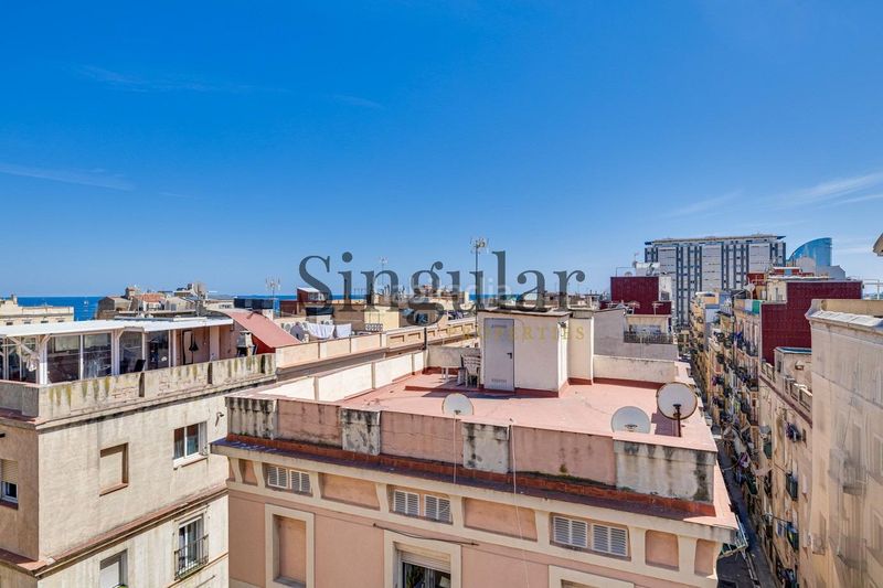 Foto c63bbed1-c4af-4ad9-afda-071b42d1db36. Pis a Barceloneta Barcelona