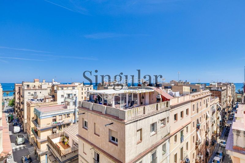 Foto ed12a5a0-69d3-4cb7-b2e3-9f9cf1127f5b. Pis a Barceloneta Barcelona