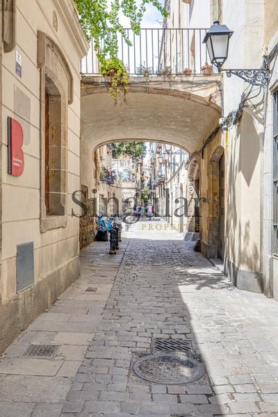 Foto 9af3a926-e498-4346-b643-fd59b74487b6. Dúplex amb calefacció a Gòtic Barcelona