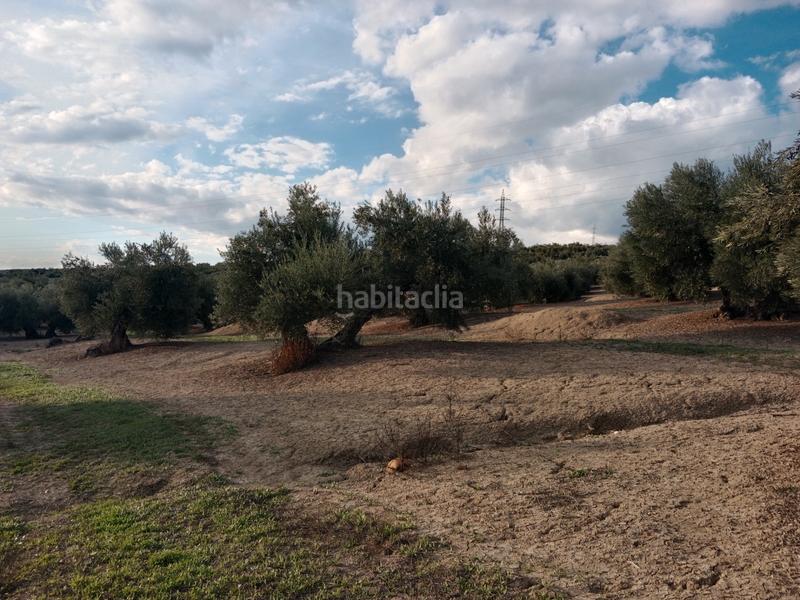 Foto 516bbe4b-5597-4423-a335-1ceeea926d55. Finca rústica a n/a a Andújar