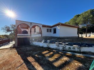 Masia  N/a. Viña en zona de el naranjal