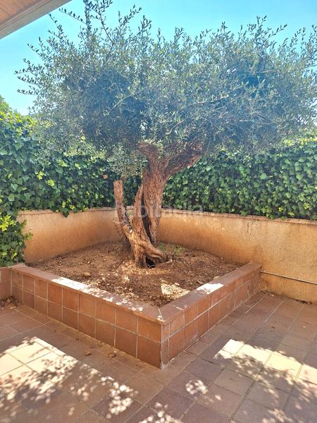 Foto 5be7fa6b-cc1e-4f8a-8172-503a353d890b. Erdgeschoss mit parking pool in Coma-ruga platja Coma-ruga