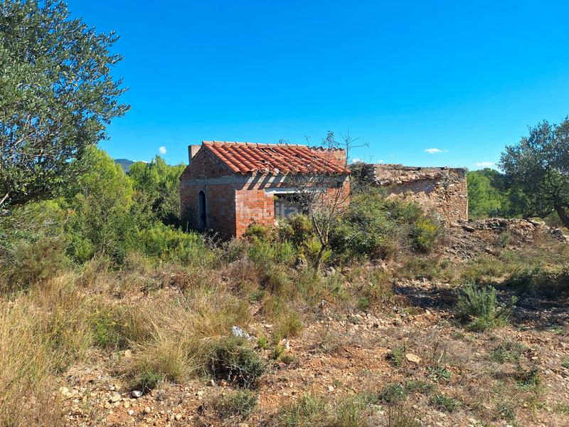 Foto 2df8daee-7df3-488a-840a-ddfc0a1e0a8b. Rural plot in Pont d´Armentera (El)