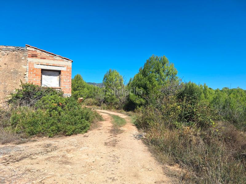 Foto 3e95861f-0a77-49d5-903b-b6fef2312fb3. Rural plot in Pont d´Armentera (El)