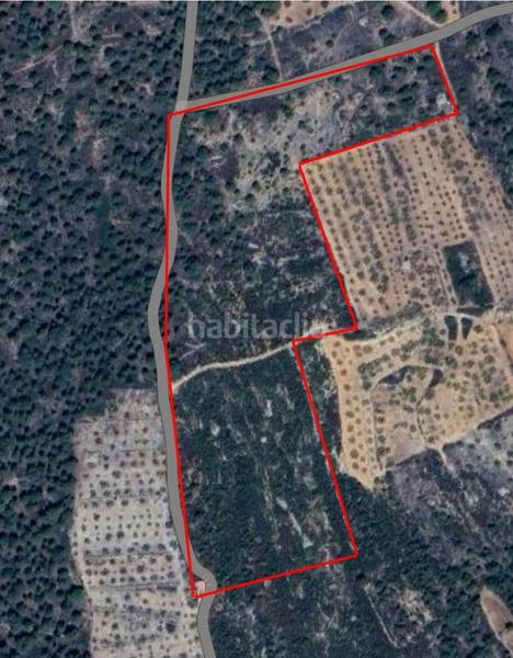 Foto 458b4974-1925-4aa7-b3b3-4fc778b386da. Rural plot in Pont d´Armentera (El)