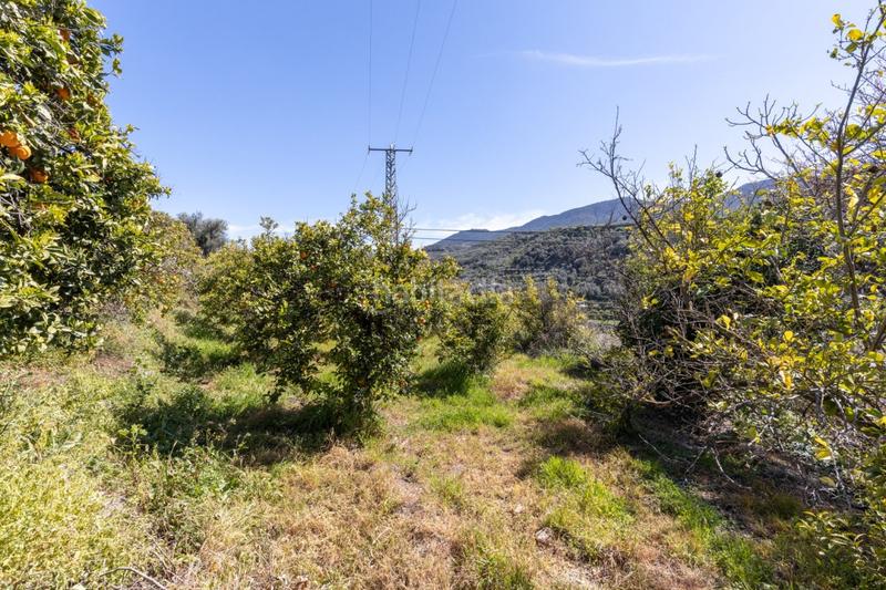 Foto cb2dbacf-0a70-4492-acac-f57669bd606f. Wohngrundstück in travesía jose mariano vallejo (sal 3 in Valle (El)
