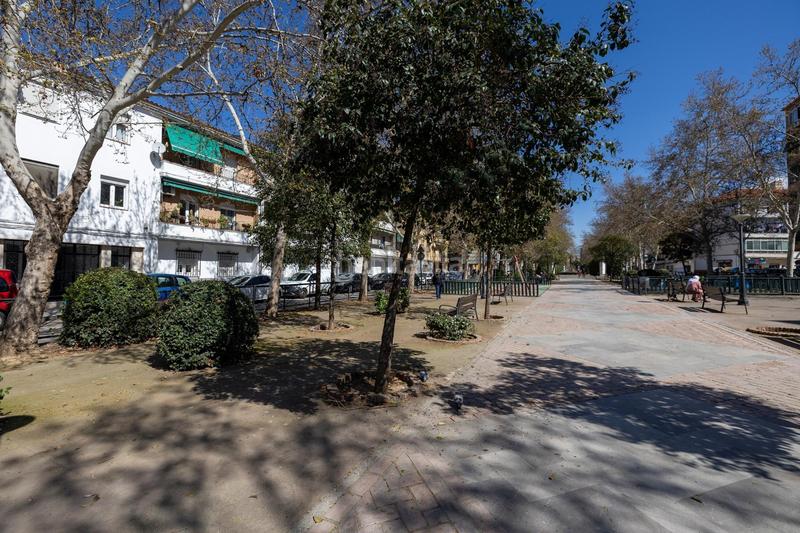 Foto f5c89b8b-7534-4a76-8343-f3a98aedd39c. Piso en circunvalacion encina luminoso piso de tres dormitorios en la chana. en Granada