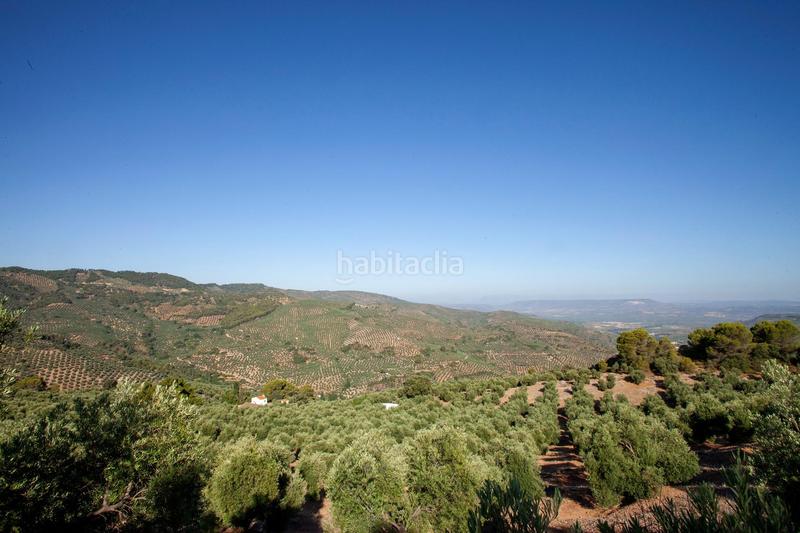 Foto 022aef3d-175e-42f0-bbfb-61b63490d5bd. Masía en diseminado 53 finca rústica casa en venta en jaen andalucia alto rendimiento y rentabilidad en Beas de Segura