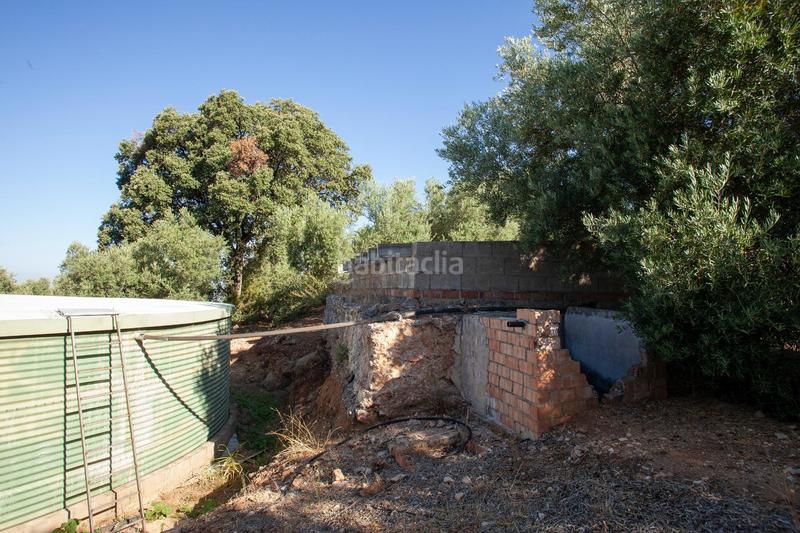 Foto 07258f66-0226-4d32-b125-126943e75552. Masía en diseminado 53 finca rústica casa en venta en jaen andalucia alto rendimiento y rentabilidad en Beas de Segura