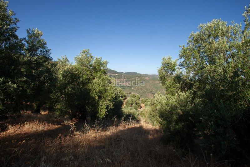 Foto 1dbdf9e5-bd2c-4c4b-9460-8215a42a3944. Masía en diseminado 53 finca rústica casa en venta en jaen andalucia alto rendimiento y rentabilidad en Beas de Segura