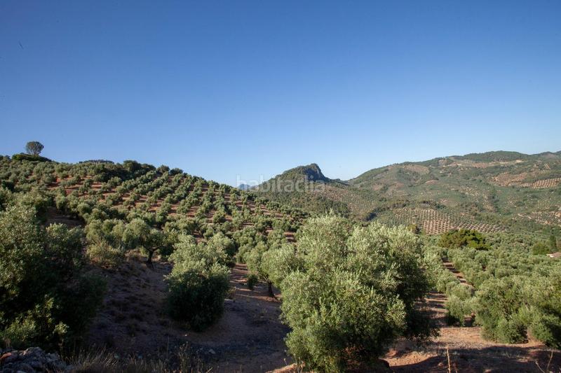 Foto 385aa225-f958-45e6-875f-a58d20e0bc44. Masía en diseminado 53 finca rústica casa en venta en jaen andalucia alto rendimiento y rentabilidad en Beas de Segura