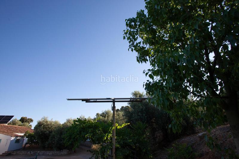 Foto 4efabe99-b44a-441b-bf32-e4690676a390. Masía en diseminado 53 finca rústica casa en venta en jaen andalucia alto rendimiento y rentabilidad en Beas de Segura