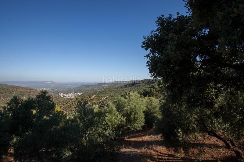 Foto 51965a12-b33f-4721-83bf-9e60c1074eb6. Masía en diseminado 53 finca rústica casa en venta en jaen andalucia alto rendimiento y rentabilidad en Beas de Segura