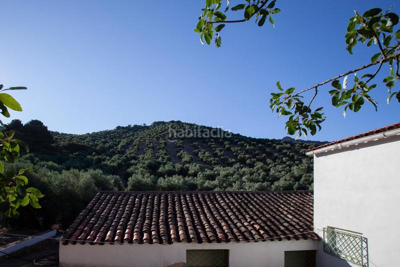 Foto 524a0d88-abb2-4bf0-9801-f1c42b1c713f. Masía en diseminado 53 finca rústica casa en venta en jaen andalucia alto rendimiento y rentabilidad en Beas de Segura