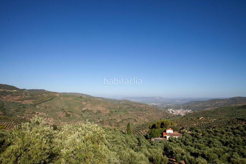 Foto 79864710-29b6-48e4-8fd6-0ce3c5673827. Masía en diseminado 53 finca rústica casa en venta en jaen andalucia alto rendimiento y rentabilidad en Beas de Segura