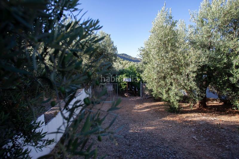 Foto 7d524253-fc56-4b3b-bd0d-d49fb4550744. Masía en diseminado 53 finca rústica casa en venta en jaen andalucia alto rendimiento y rentabilidad en Beas de Segura