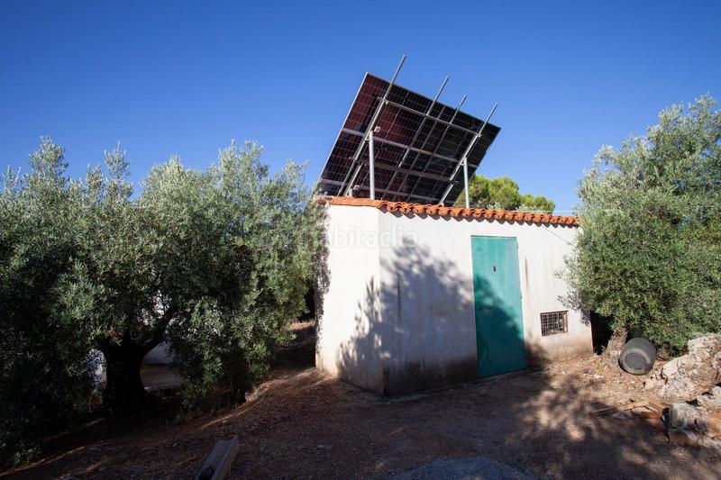 Foto 8c31882c-6126-4258-9510-b97aa5921f7f. Masía en diseminado 53 finca rústica casa en venta en jaen andalucia alto rendimiento y rentabilidad en Beas de Segura
