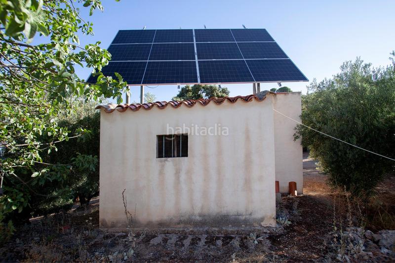 Foto b46bddf1-b26b-462c-958c-4a3a1bbbd510. Masía en diseminado 53 finca rústica casa en venta en jaen andalucia alto rendimiento y rentabilidad en Beas de Segura