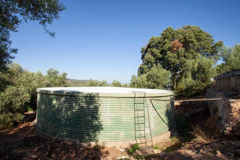 Foto d3f83491-f5d6-4034-ae45-612a99468373. Masía en diseminado 53 finca rústica casa en venta en jaen andalucia alto rendimiento y rentabilidad en Beas de Segura
